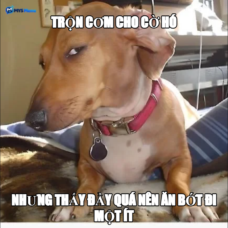 Cờ hó be like