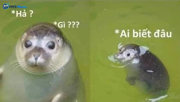 Khi bị hỏi bao giờ lấy chồng?!.