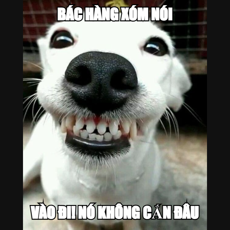Thế là đi ngay 800k