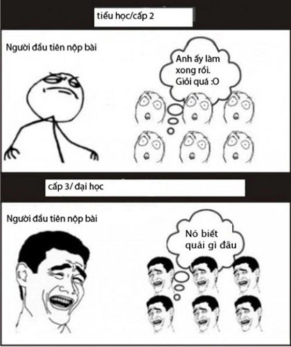 Like a boss